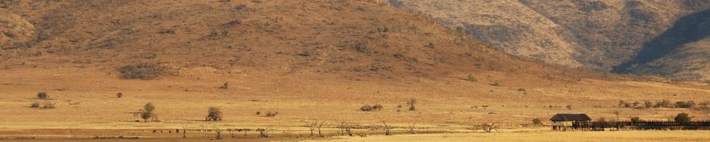 Afrique du Sud - Pilanesberg National Park - Cr�dit photo : Jean-Philippe Baude et Genevi�ve Routier