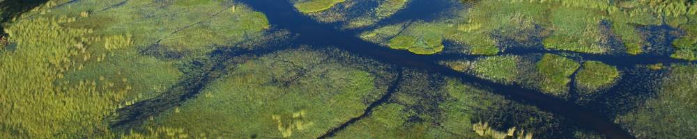 Botswana - Cr�dit photo : vincent Beccaro