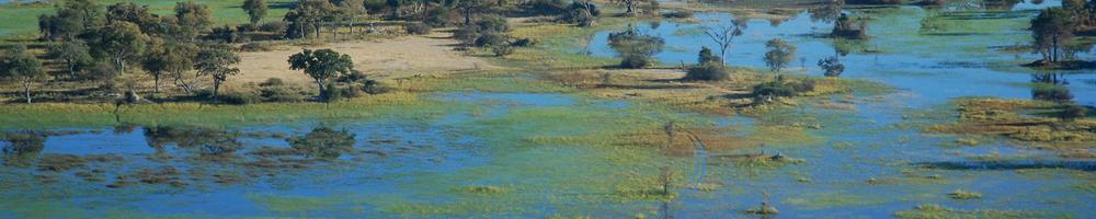 Botswana - Cr�dit photo : vincent Beccaro