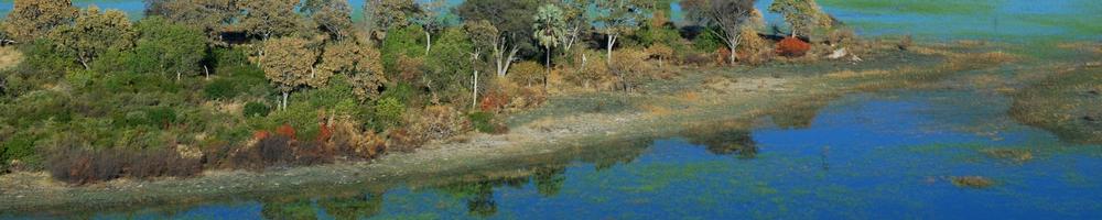 Botswana - Cr�dit photo : vincent Beccaro