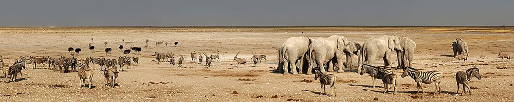 Namibie - Cr�dit photo : Jonathan Garrigues