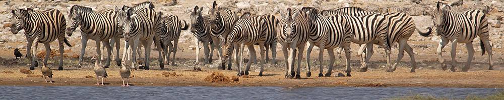Namibie - Cr�dit photo : Jonathan Garrigues