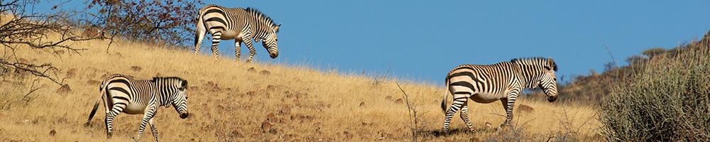 Namibie - Cr�dit photo : Jonathan Garrigues