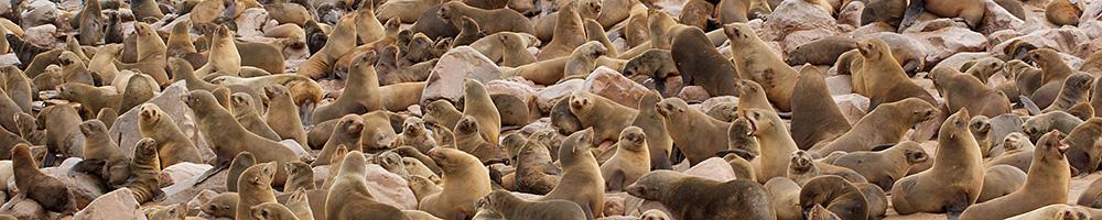 Namibie - Cr�dit photo : Jonathan Garrigues