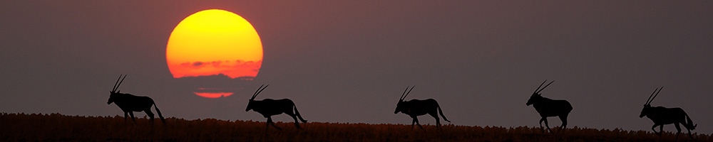 Namibie - Cr�dit photo : Jonathan Garrigues