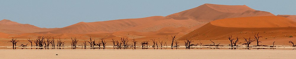 Namibie - Cr�dit photo : Jonathan Garrigues