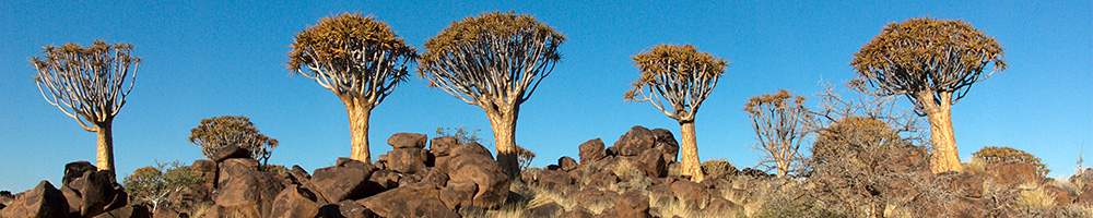 Namibie - Cr�dit photo : Jonathan Garrigues