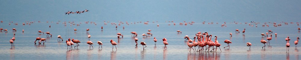 Tanzanie - Cr�dit photo : Jonathan Garrigues