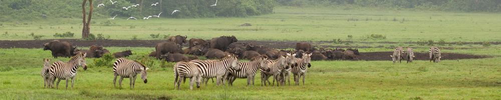 Tanzanie - Cr�dit photo : Jonathan Garrigues